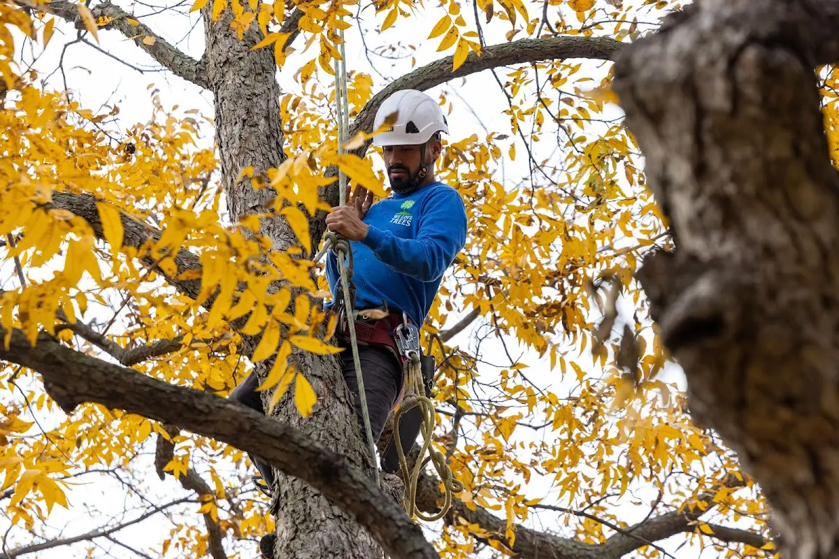 Skilled Storm Damage Cleanup crew working in Finley